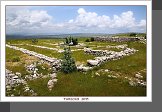 Hattusas