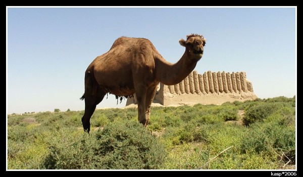 TURKMENISTÁN