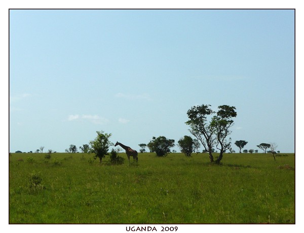 UGANDA