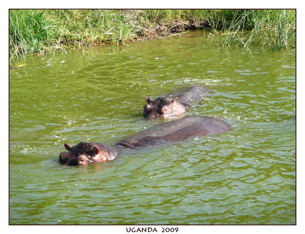 UGANDA