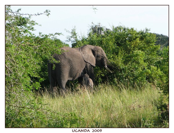 UGANDA