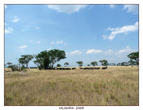 UGANDA