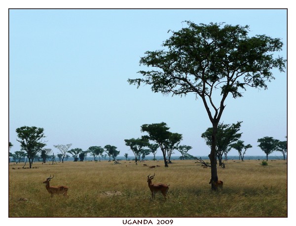 UGANDA