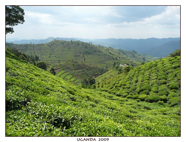 UGANDA