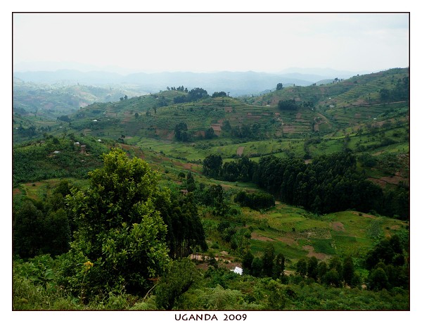 UGANDA
