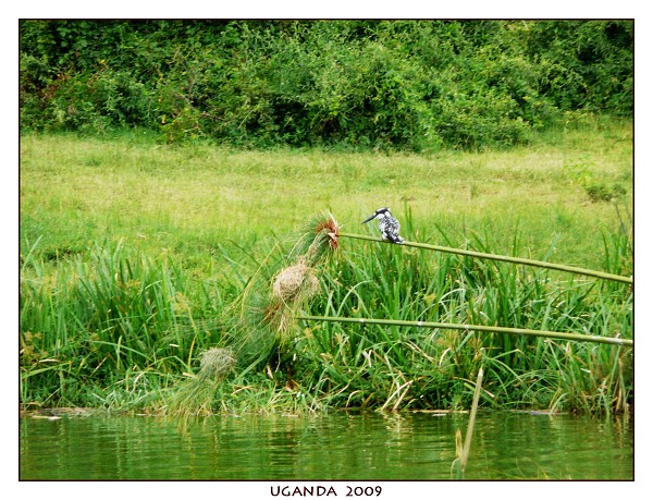 UGANDA