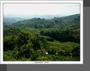 NP Bwindi