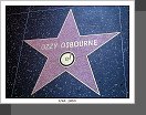Hollywood