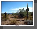 Arizona