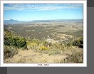 Mesa Verde