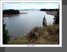 Yellowstone