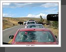 Yellowstone