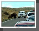 Yellowstone
