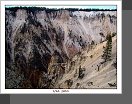 Yellowstone