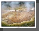 Yellowstone