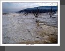 Yellowstone