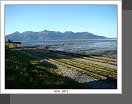 SP Chugach
