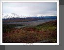 NP Denali