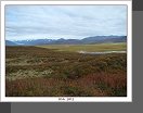 Denali Hwy