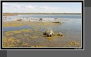 Jezero Aidar-kul