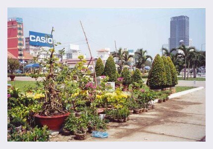 VIETNAM