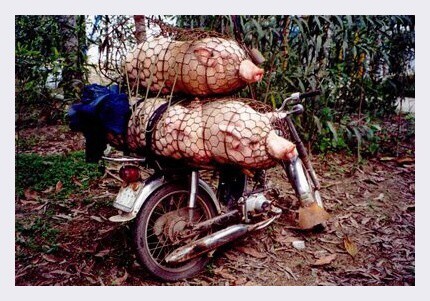 VIETNAM