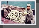 Ha Long